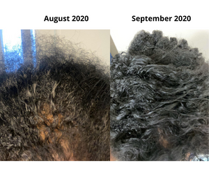 30 Day Hair Growth Kit